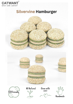 Silvervine Hamburger-1