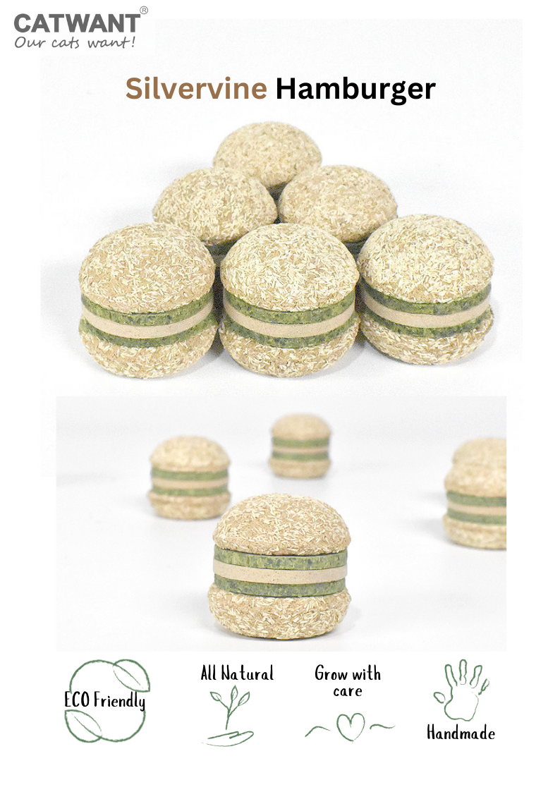 Silvervine Hamburger-1
