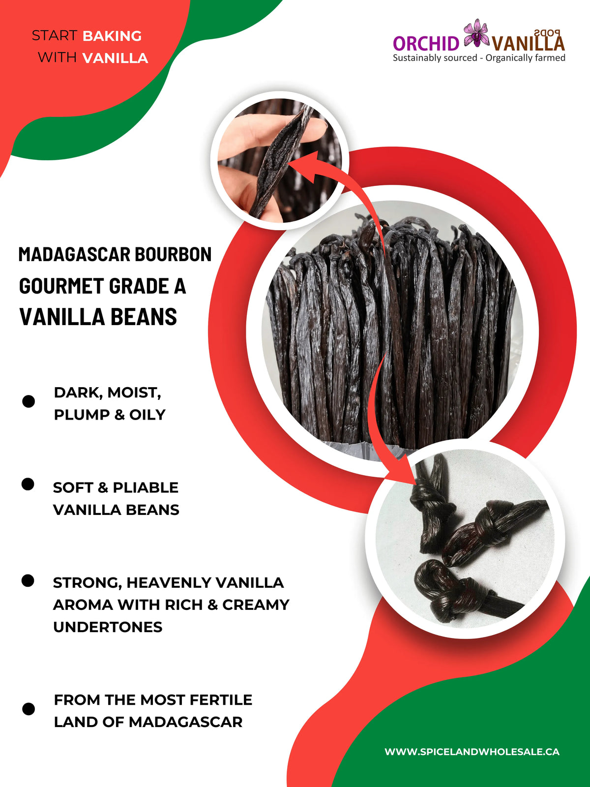 Madagascar Bourbon Vanilla Beans Gourmet Grade-A <br>For Extract And Baking<BR>By Pound-1