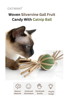 Woven Silvervine Gall Fruit Candy With Catnip Ball-1