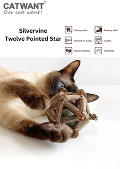Silvervine Twelve Pointed Star-1
