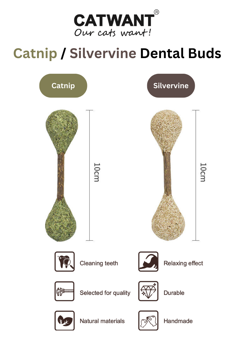 Catnip / Silvervine Dental Buds-1