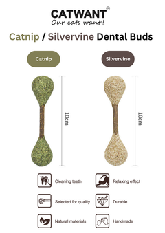 Catnip / Silvervine Dental Buds-1