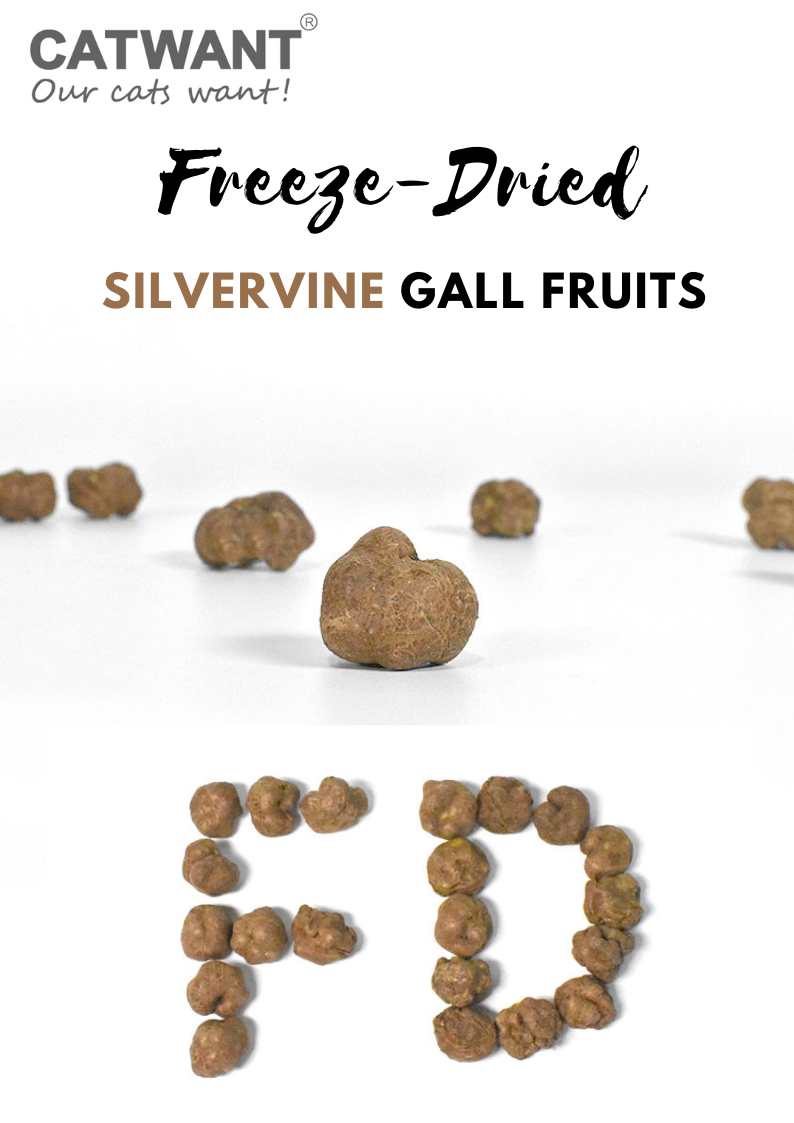 Freeze-Dried Silvervine Gall Fruits, 20g-1