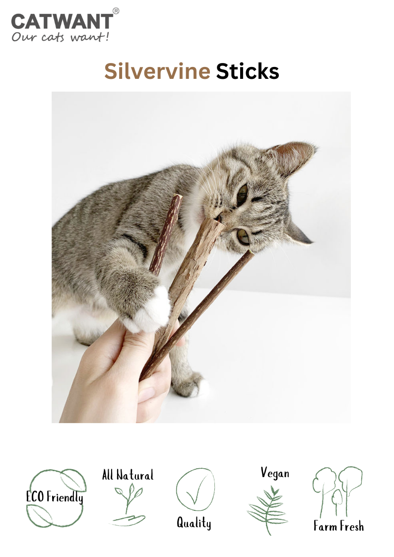 Silvervine Sticks-1