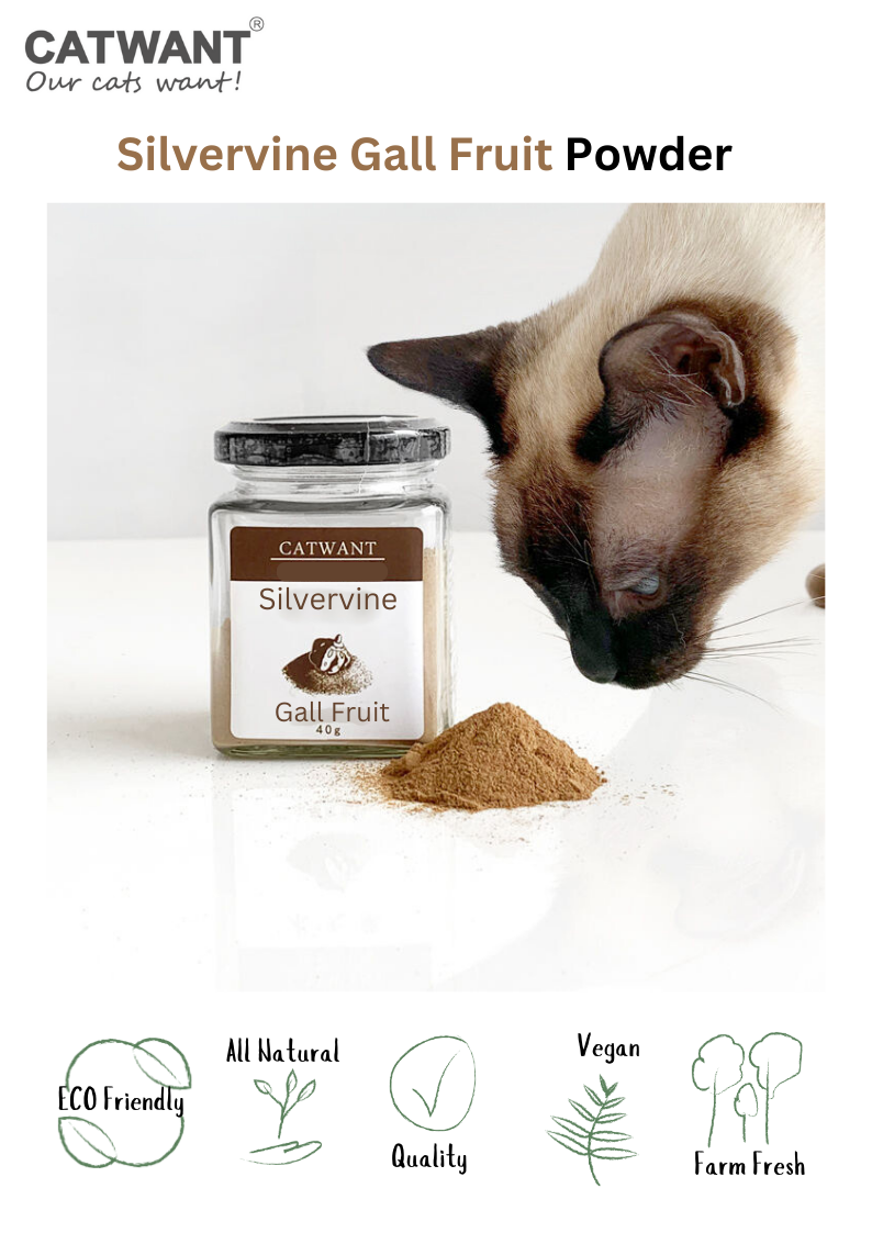 Silvervine Gall Fruit Powder-1