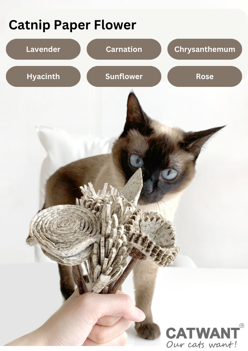 Catnip Paper Flower-2