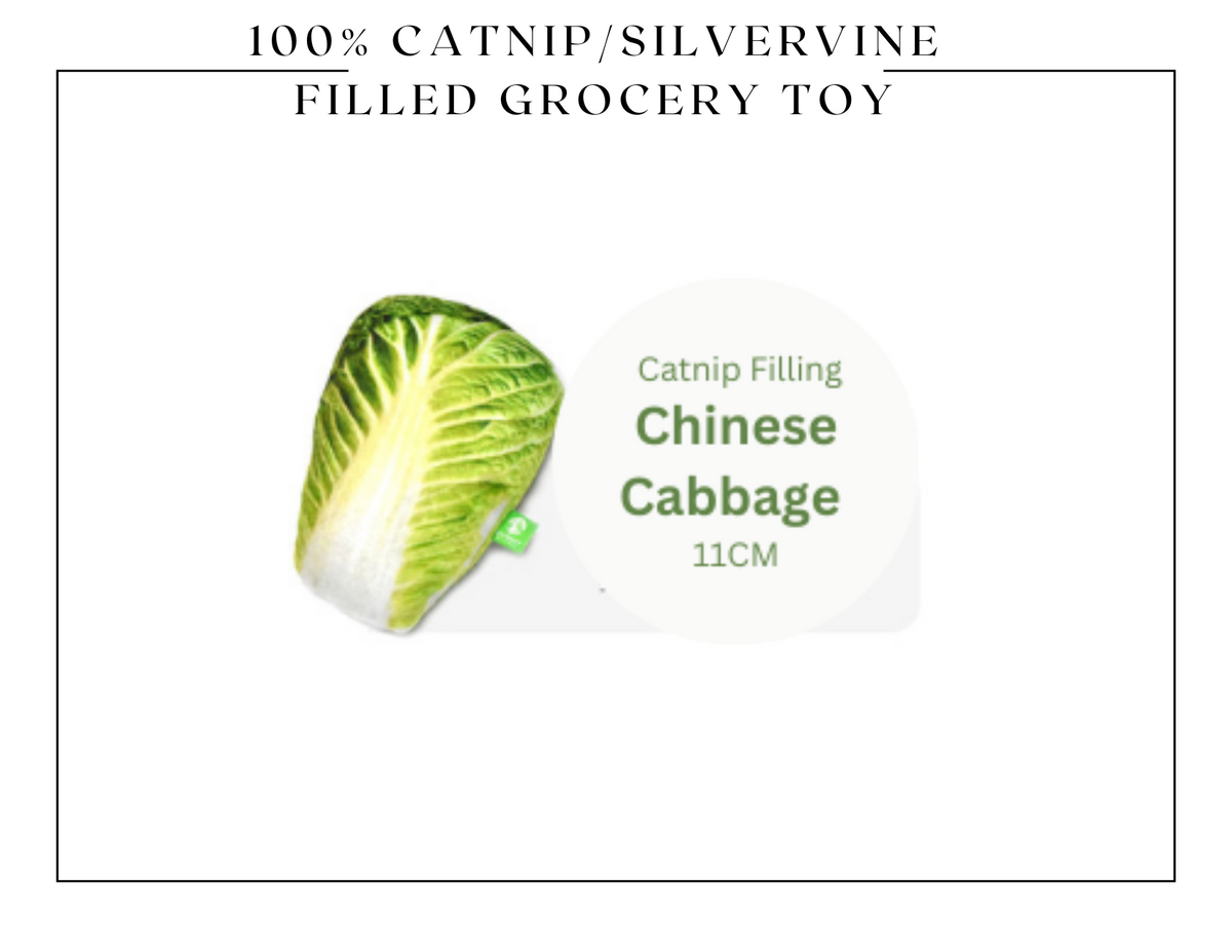 100% Silvervine/Catnip Filled Grocery Cuddle Toy-5