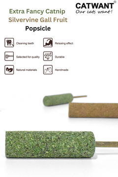 Silvervine Gall Fruit Popsicle-1