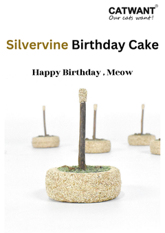 Silvervine Birthday Cake-1