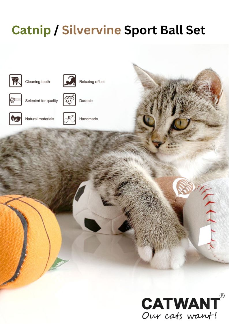100% Silvervine/Catnip Filled Sport Ball Set - 4-Pack-1