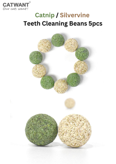 Catnip / Silvervine Teeth Cleaning Beans 5pcs-1
