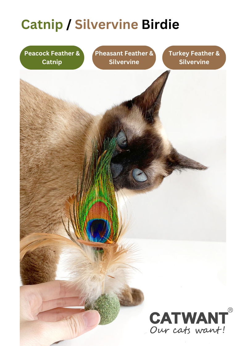Silvervine / Catnip Birdie-1