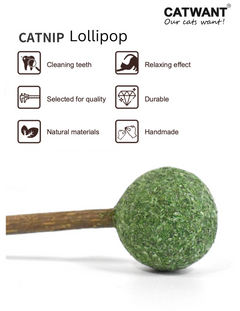 Catnip / Silvervine Lollipop-1