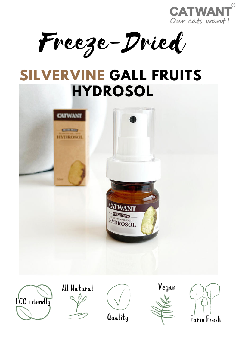 Freeze-Dried Silvervine Gall Fruit Hydrosol, 35 ML-1