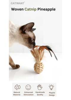 Woven Catnip Pineapple-1