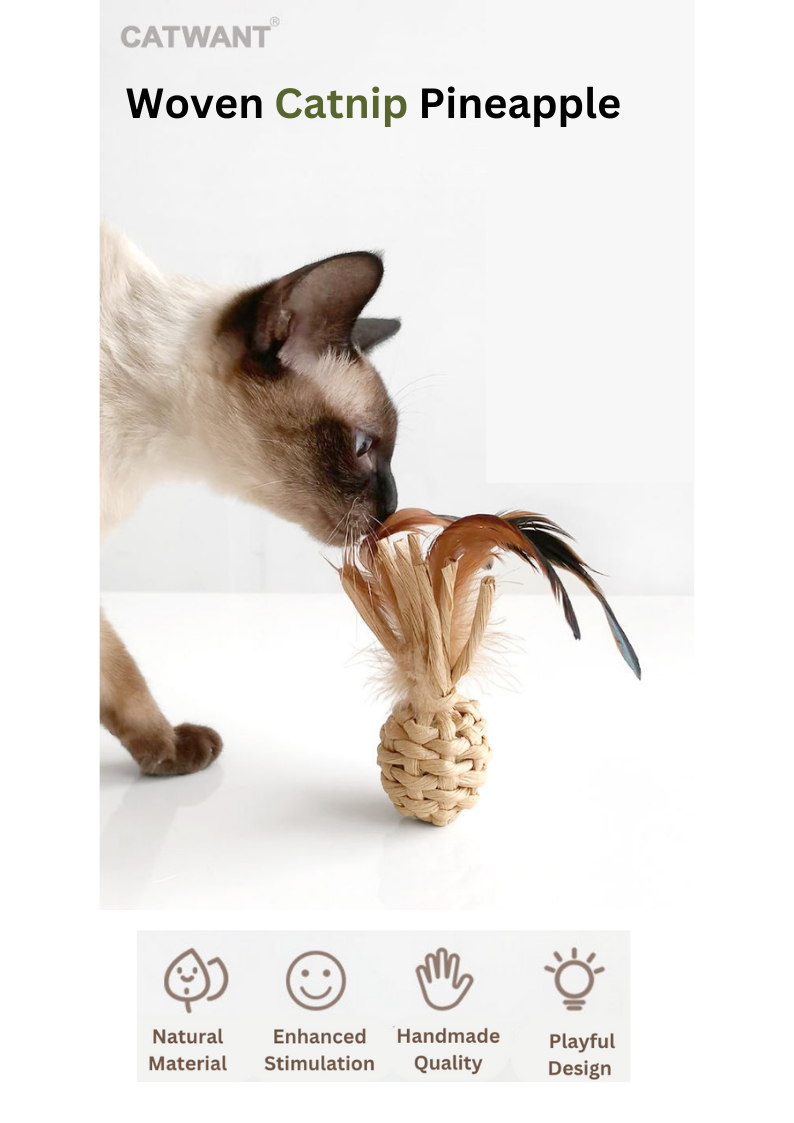Woven Catnip Pineapple-1