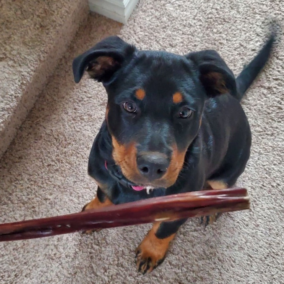 12 Inch Beef Jerky Stick-5