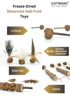 Freeze Dried Silvervine Gall Fruit Toys-1