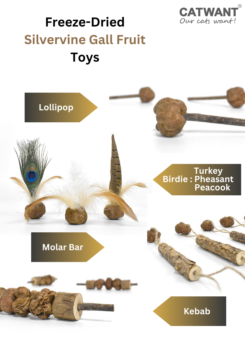 Freeze Dried Silvervine Gall Fruit Toys-1