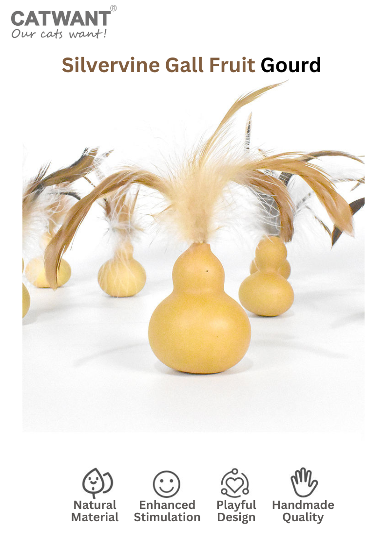 Silvervine Gall Fruit Gourd-1