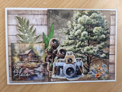 Paquete de tarjetas 6x4 Idyllic Woods de 3Quarter Designs-6