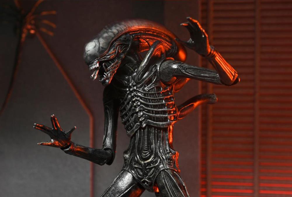 Alien: Romulus Ultimate Xenomorph XX121-1