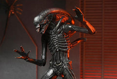 Alien: Romulus Ultimate Xenomorph XX121-1