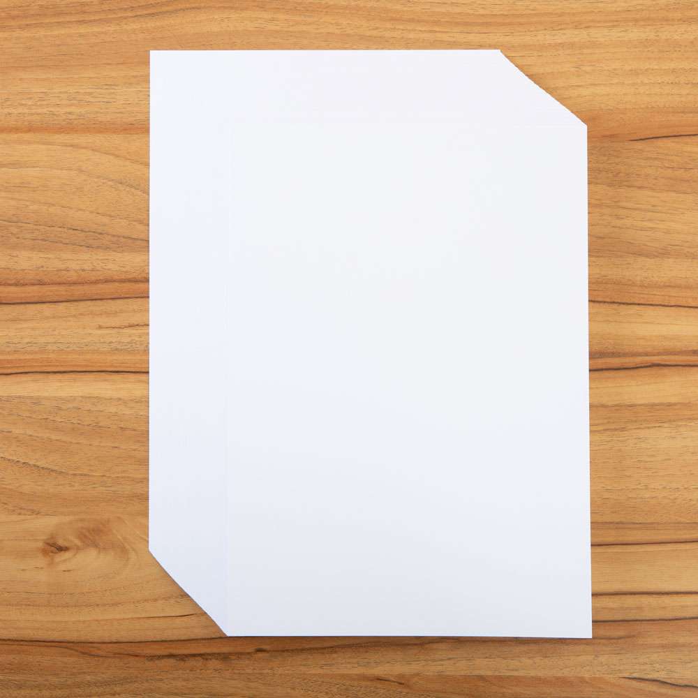 Carnation Crafts Pro Printing Paper 120gm (100 A4 sheets)-2