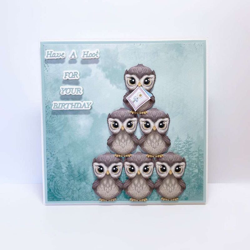 Carnation Crafts Have A Hoot Die Set-4