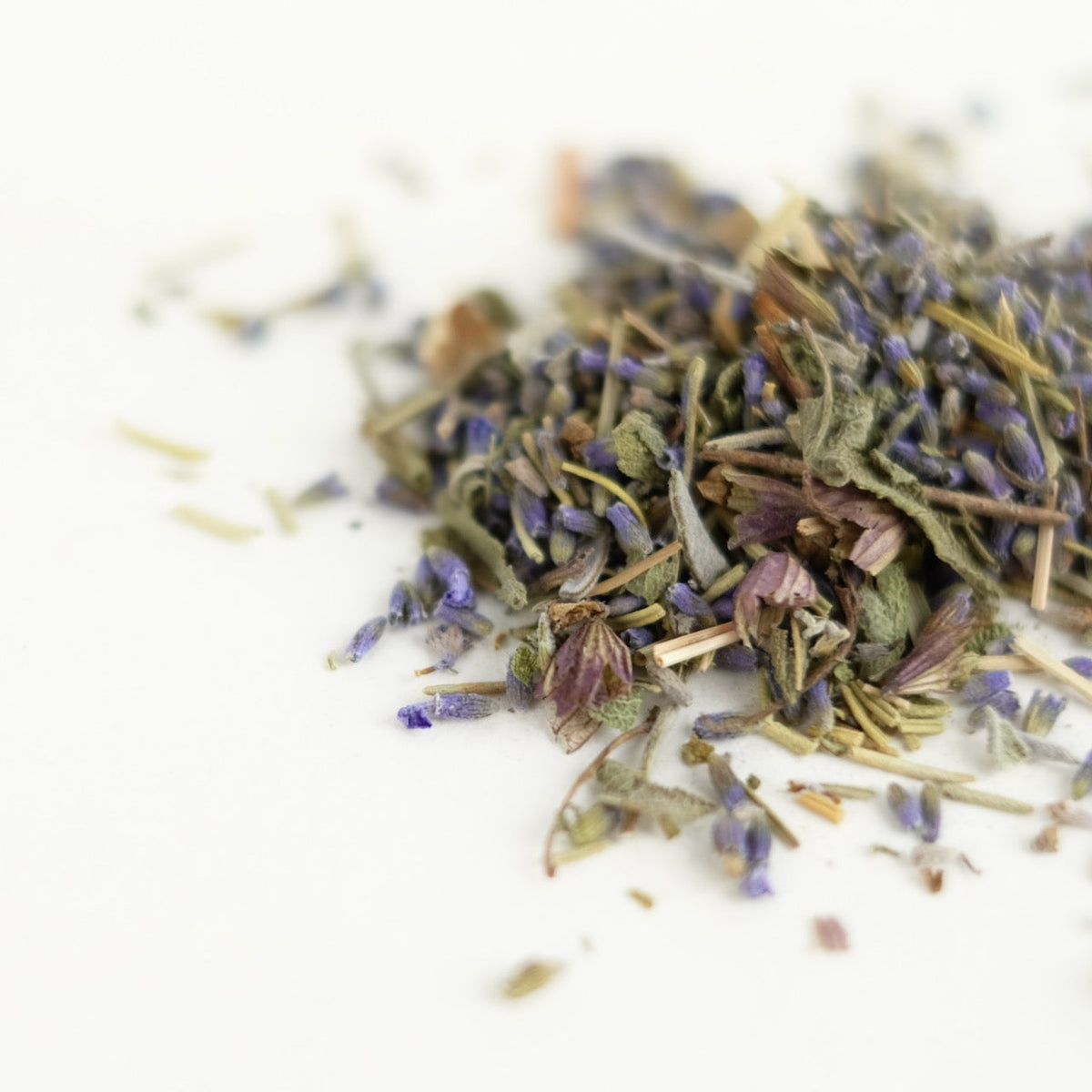 SPIRIT OF WISDOM // nootropic tonic-2