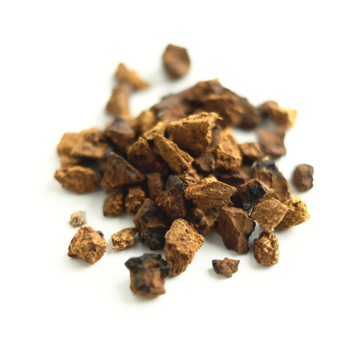 CHAGA MUSHROOM CHUNKS-2