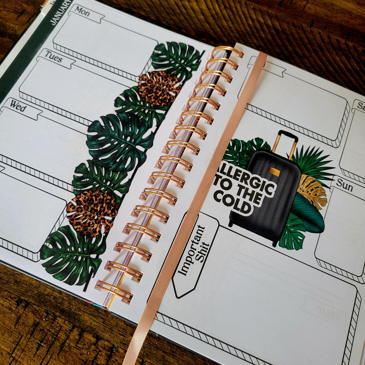 My Fucking Planner Undated Sweary Planner | Day Planner-6