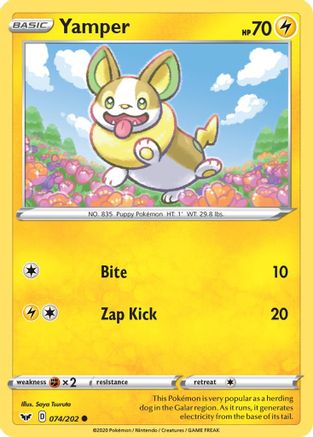 Yamper (074) 74/202 - SWSH01 Sword & Shield Base Set Reverse Holofoil-1