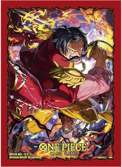 One Piece CG - Gol.D.Roger Sleeves-1