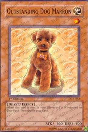 Outstanding Dog Marron (DCR-062) - Dark Crisis 1st Edition-1