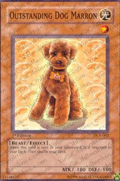 Outstanding Dog Marron (DCR-062) - Dark Crisis 1st Edition-1