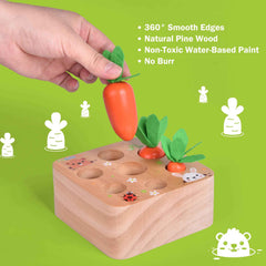 Fun Little Toys - Wooden Carrot Harvest Shape & Size Sorting Game - Ages 3+-4