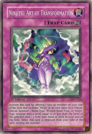 Ninjitsu Art of Transformation (AST-052) - Ancient Sanctuary Unlimited-1