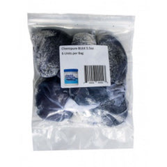 Boyd Enterprise Chemi-Pure Blue BULK 6-pack-1