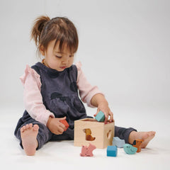 Mentari Toys - Bambino Shape Sorting Cube - Canadian Supplier - Ages 2+-3