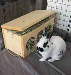 Hay Box for Bunnies & Guinea Pigs-1