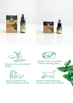 Catnip Hydrosol-2