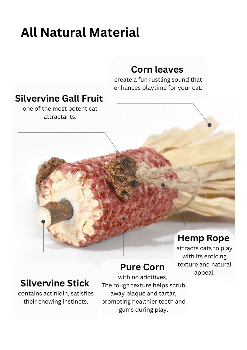 Silvervine Corn Goldfish-2