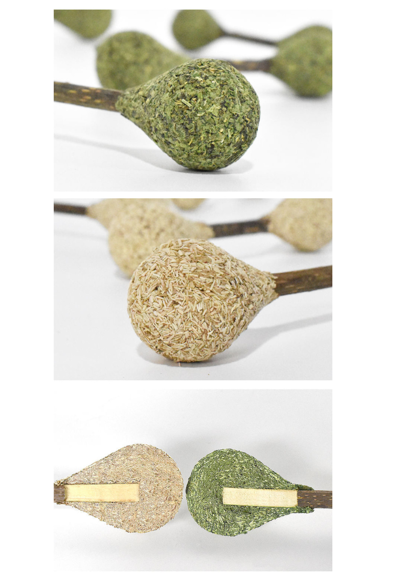 Catnip / Silvervine Dental Buds-3