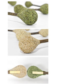 Catnip / Silvervine Dental Buds-3
