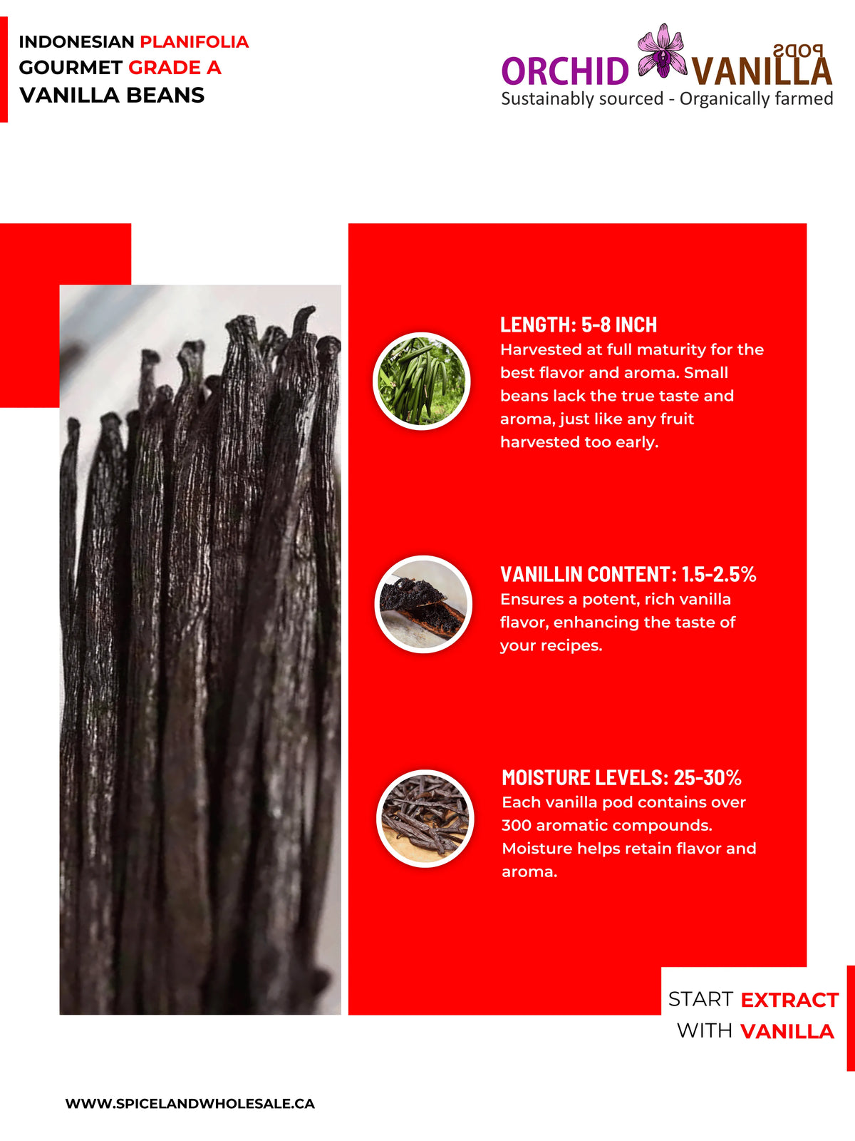 Indonesian Vanilla (Sumatra) Planifolia Gourmet Grade-A Beans<br>For Extract And Baking<BR>By Ounce-2
