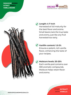 Madagascar Bourbon Extract Vanilla Beans Grade-B <br>For Extract Making<BR>By Ounce-2