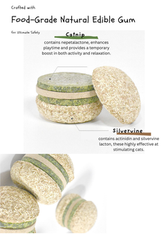 Silvervine Hamburger-2