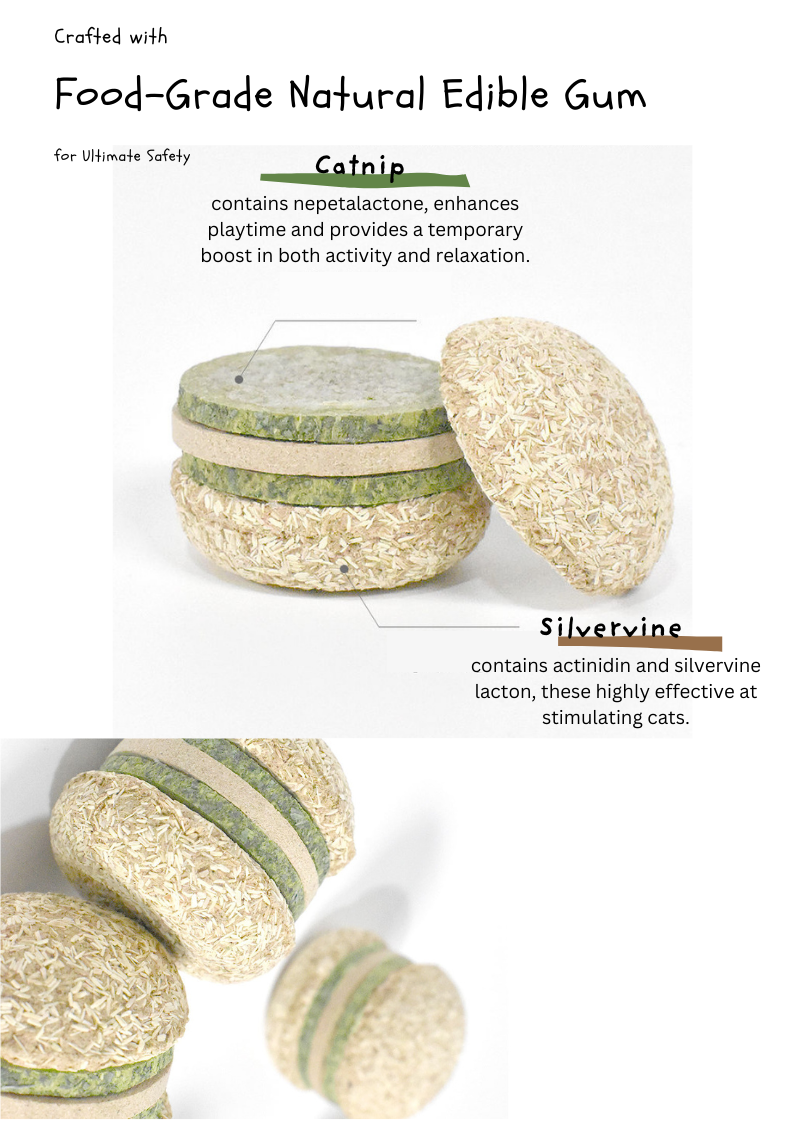 Silvervine Hamburger-2